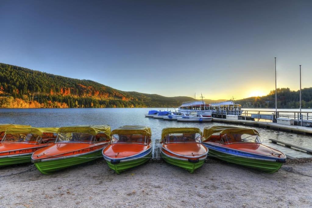 Waldklang Titisee المظهر الخارجي الصورة