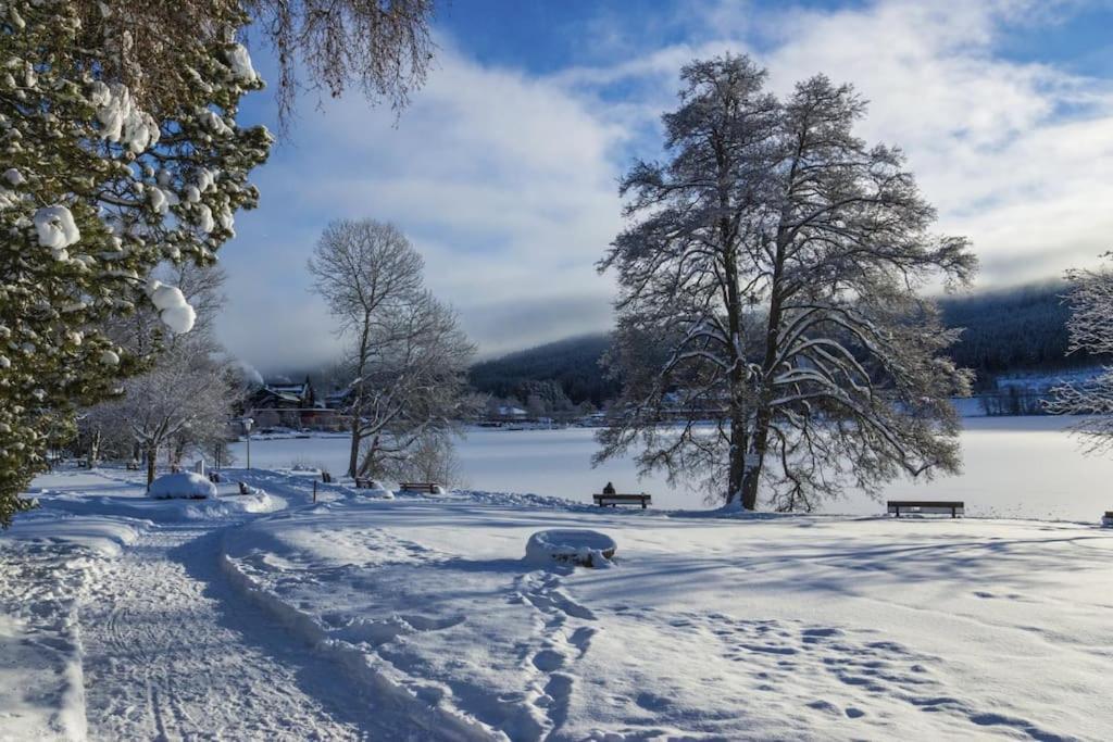 Waldklang Titisee المظهر الخارجي الصورة