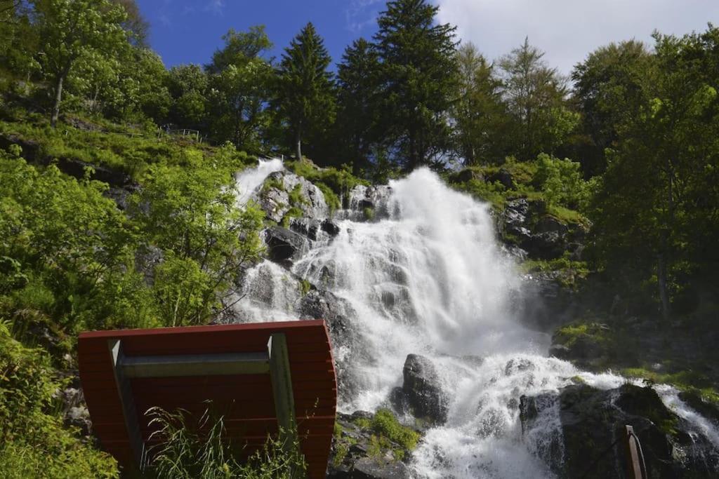 Waldklang Titisee المظهر الخارجي الصورة