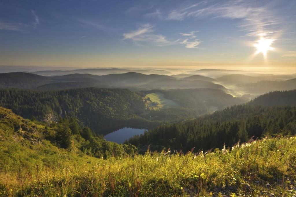 Waldklang Titisee المظهر الخارجي الصورة