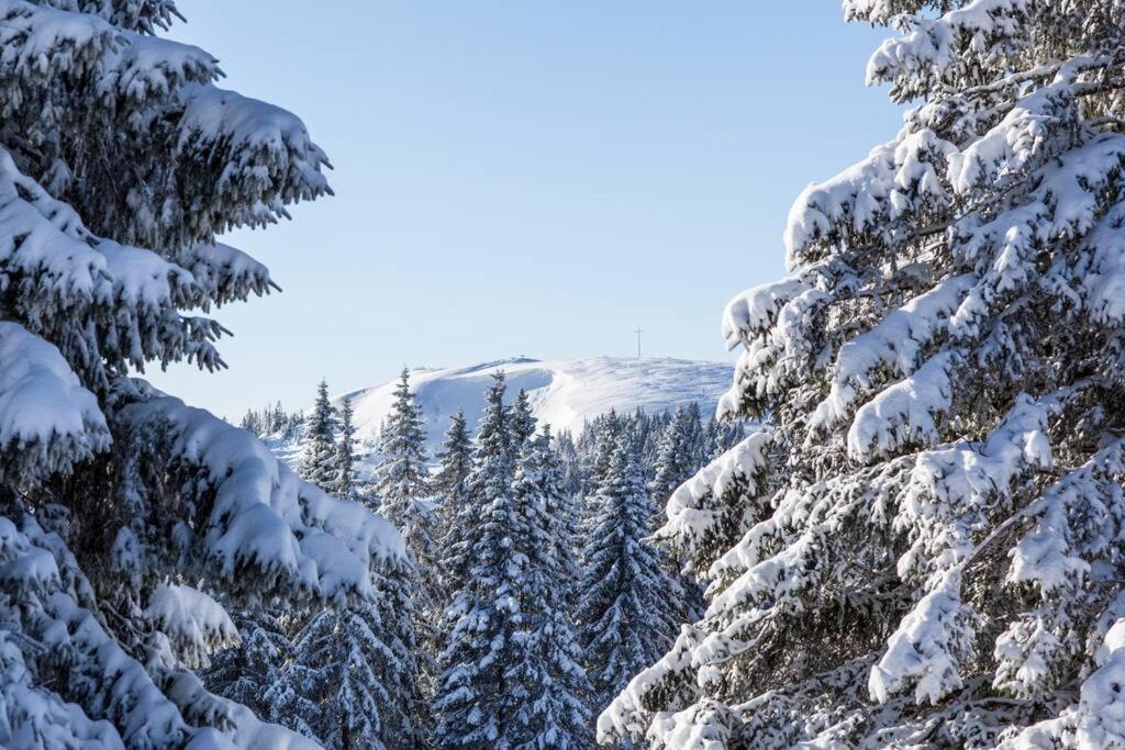 Waldklang Titisee المظهر الخارجي الصورة