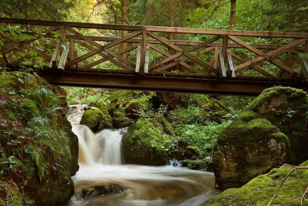 Waldklang Titisee المظهر الخارجي الصورة