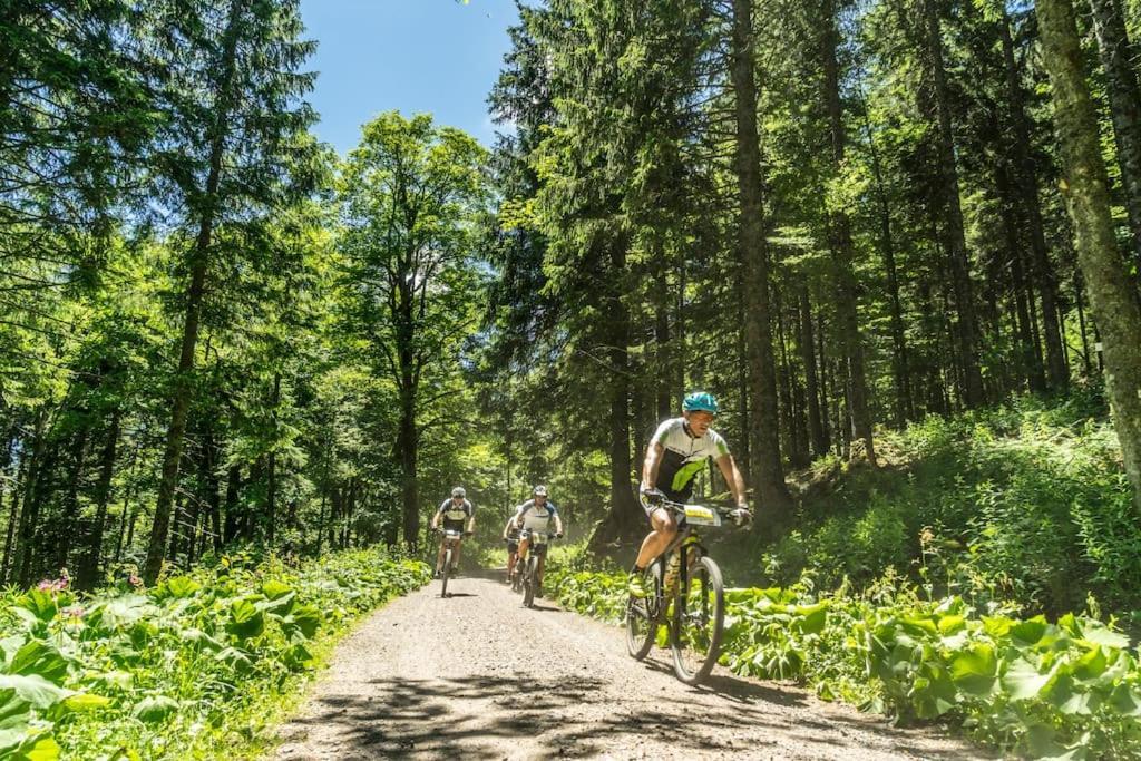 Waldklang Titisee المظهر الخارجي الصورة